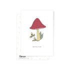 Pilz | Postkarte