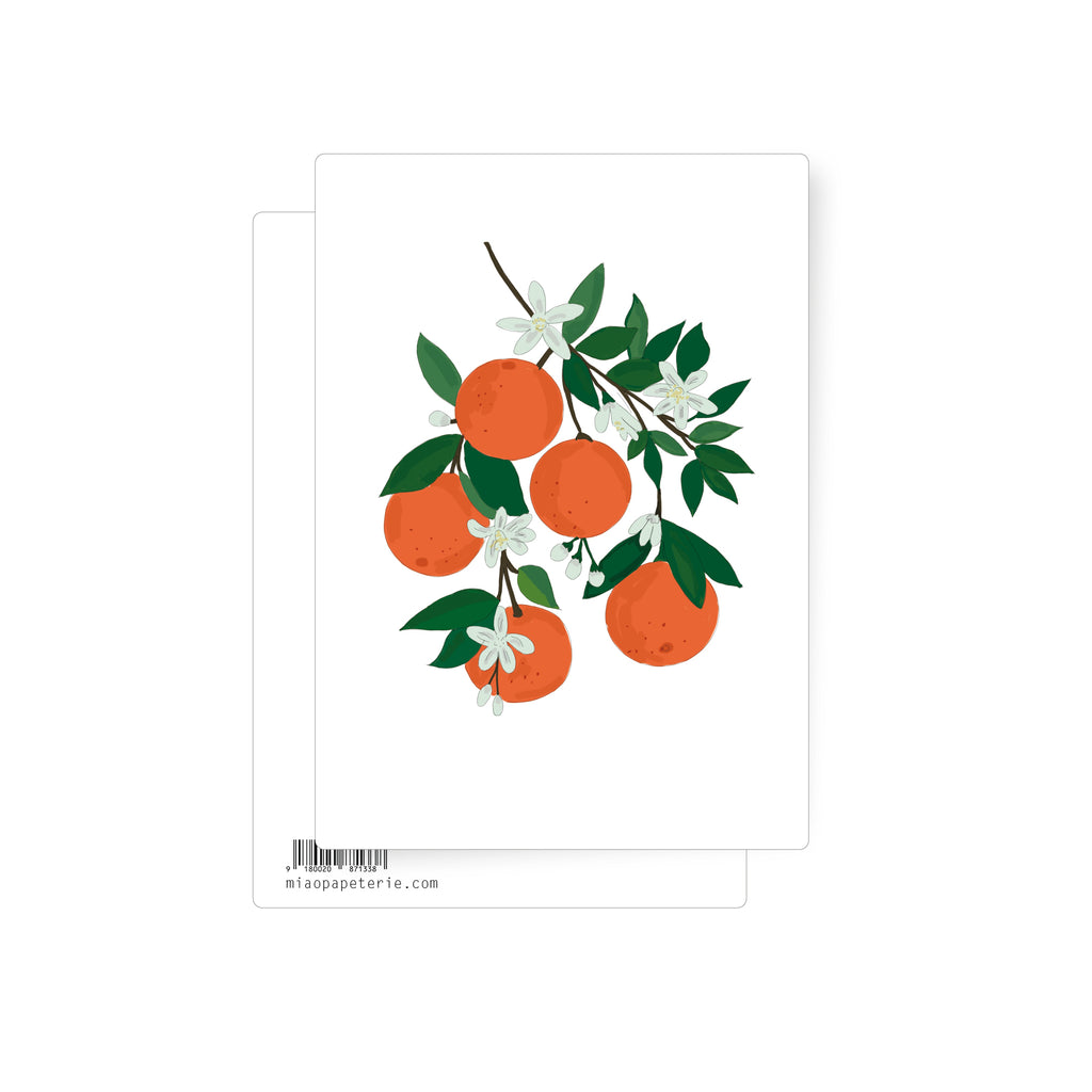 Orangen | Postkarte