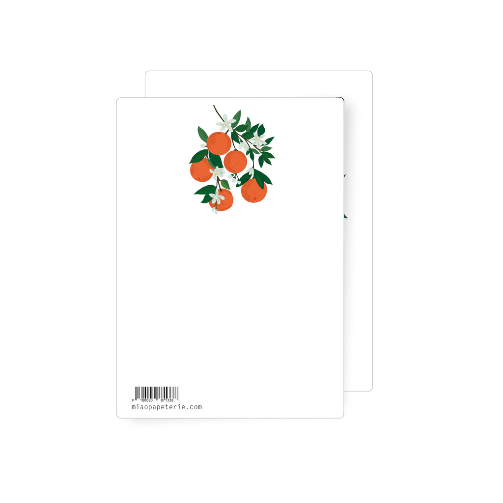 Orangen | Postkarte