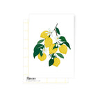 Lemon | Postkarte